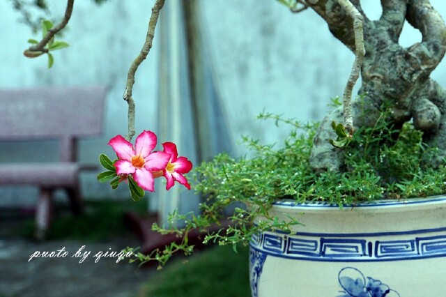 【越南】闲游岘港,寻找当土豪的感觉