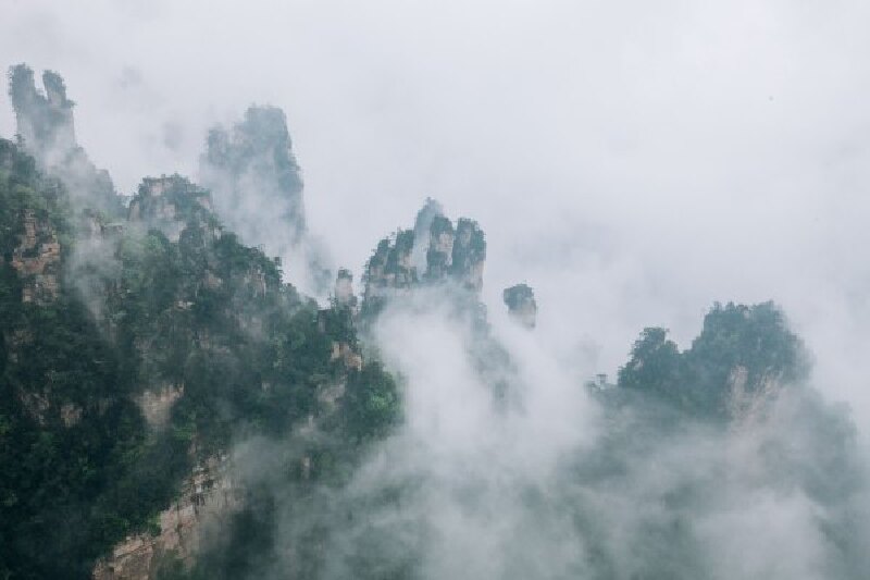张家界人均消费_中国人均水果消费支出(3)