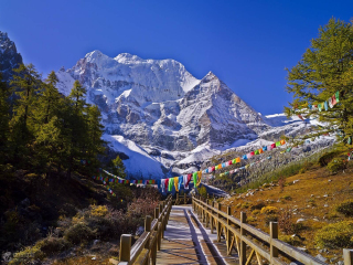 云南麗江旅游多少錢一個人_跟團云南麗江游價格_云南麗江報團旅游多少錢