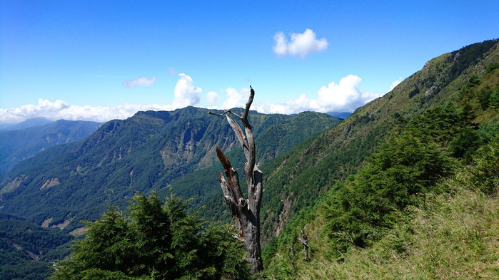 玉山有多少人口_台湾阿里山我来了 眼前的景色真是太美啦(3)