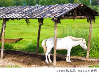 到云南-香格里拉旅游多少錢_云南-香格里拉旅行跟團_云南-香格里拉游 旅行團