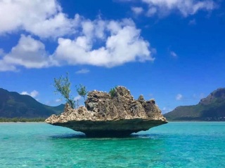毛里求斯游 旅行團(tuán)_毛里求斯旅游跟團(tuán)需多少錢_毛里求斯旅游費(fèi)用