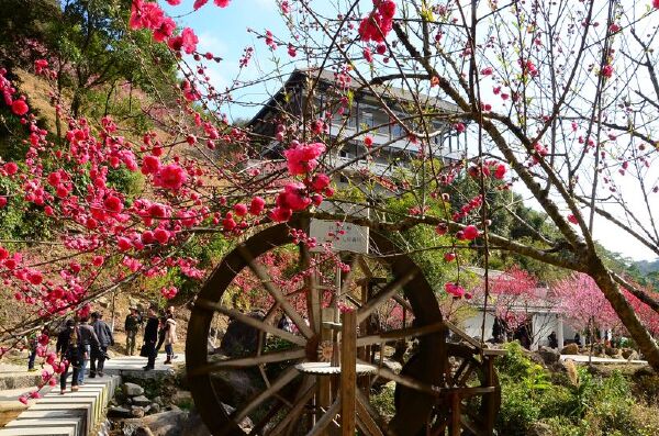 七月去泉州旅游必备物品_七月去泉州旅游景点