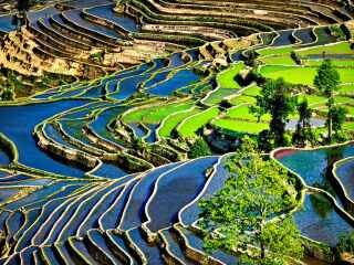 云南普者黑旅行團旅游報價_云南普者黑九月旅游_去云南普者黑游怎么省錢