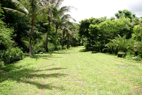 1月去广州注意事项_广州一月人多吗_广州一月天气