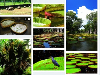 迪拜跟团旅游观光_赴迪拜旅游价格_迪拜旅游团报价2023