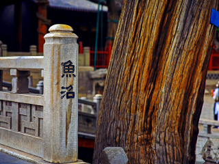 山西五臺(tái)山旅游報(bào)價(jià)_山西五臺(tái)山游價(jià)格_東莞到山西五臺(tái)山游