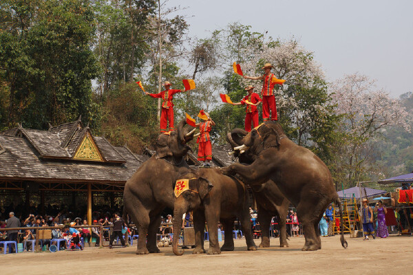 1月去西双版纳带什么_1月去西双版纳准备什么