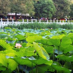 小交通模块 