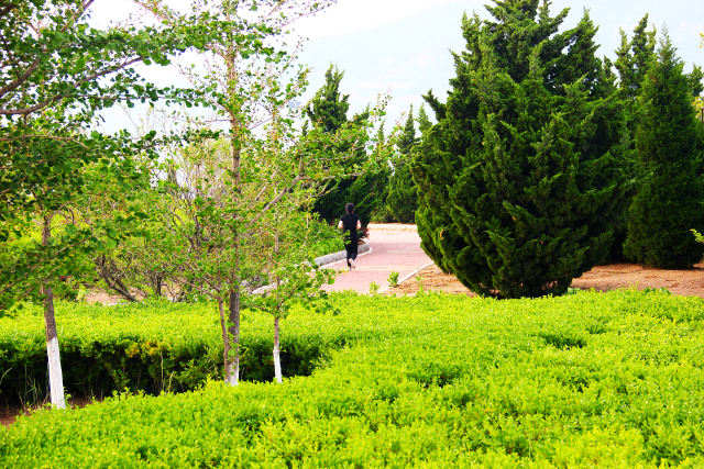 玩转大连海洋岛-原生态海岛