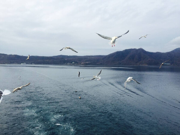 清明节去北海道什么_清明北海道气温怎么样_