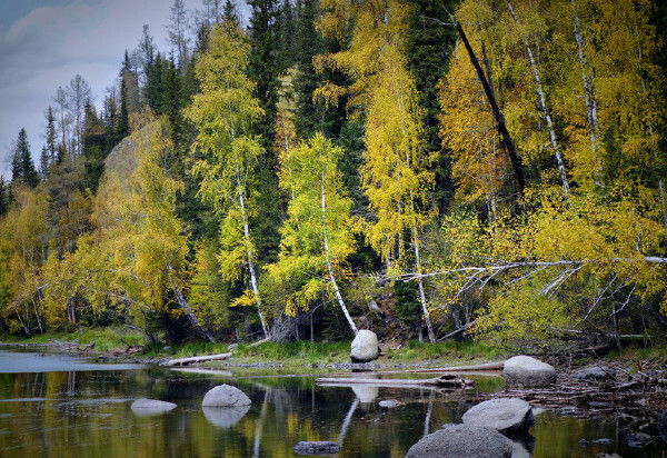 清明节去喀纳斯天气_喀纳斯清明节温度_冬天