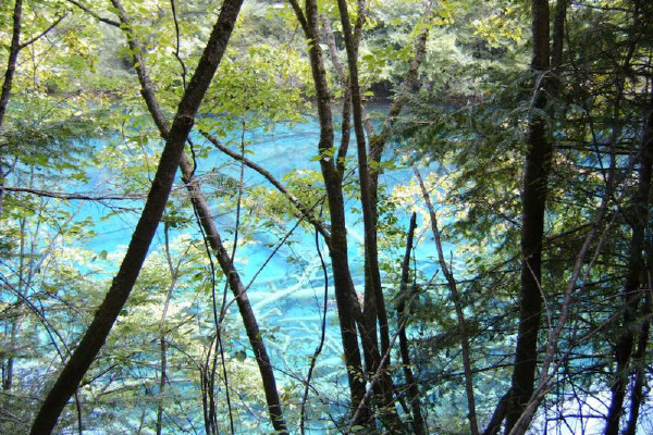 十一四川省内旅游路线推荐_九寨沟十一自驾游