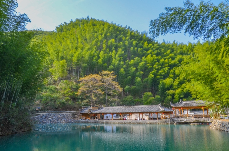 通过导航的提示,我们发现木坑竹海距离宏村