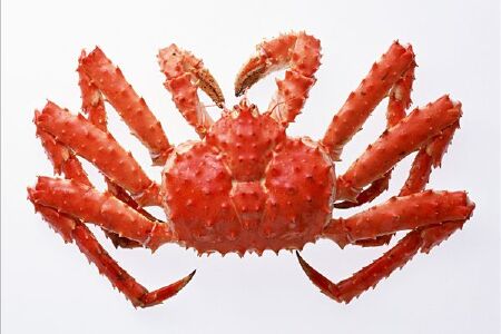 food_picture