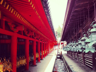 日本旅游最佳路線_日本旅游幾月份最便宜_深圳日本六日游純玩團(tuán)
