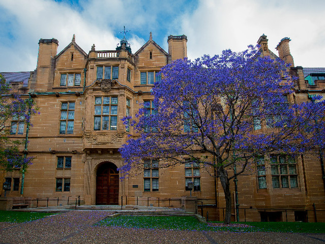 悉尼大学