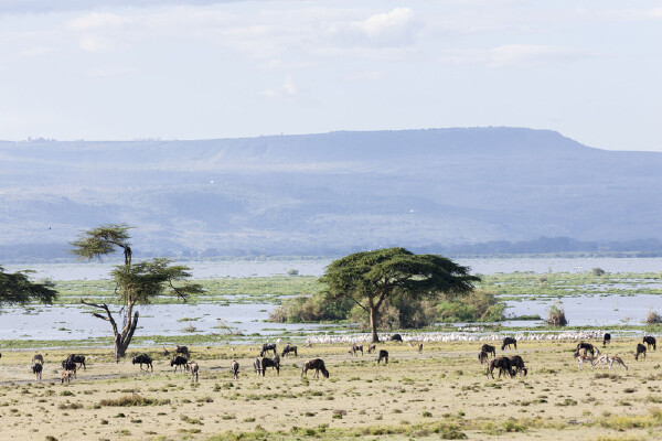 乌干达签证办理要求_乌干达旅游攻略_乌干达