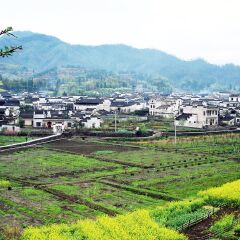 景点模块 