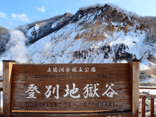 日本旅行團自由行_去日本靠譜的旅行團_日本2人旅游需要多少錢