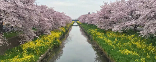 凤冈县旅游资讯