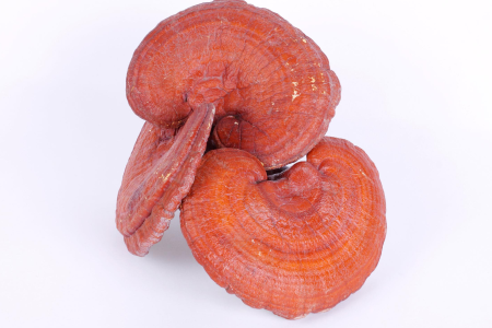 food_picture