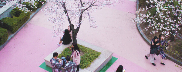 picture