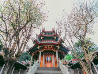 廈門鼓浪嶼報團(tuán)多少錢_廈門鼓浪嶼游 旅行團(tuán)_2021去廈門鼓浪嶼跟團(tuán)多少錢