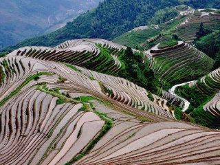 桂林旅游十一日游_桂林旅游的多少钱_桂林旅游跟团多少钱