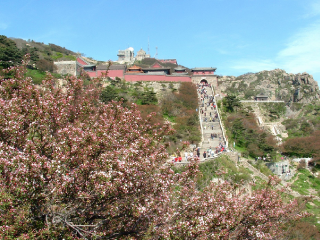 山東半自由行_山東游價格_山東旅游多少錢