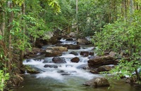 达尔文李治菲特国家公园探险