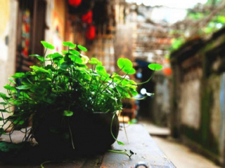 福建廈門自由行旅游團(tuán)_暑假福建廈門游價(jià)格_8月福建廈門旅游