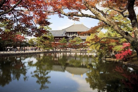 [春节]<日本东京-大阪-京都-箱根6或7日游>A三古都京都奈良镰仓，东阪各一天自由，B6天，京都奈良，东京1天自由，1晚温泉酒店，