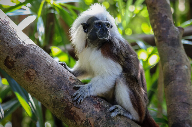 Cii-TFijtEWIPNfaAAkiXDyz1d8AAHMKAOh0fwACSJ0491_w640_h0_c0_t0.jpg