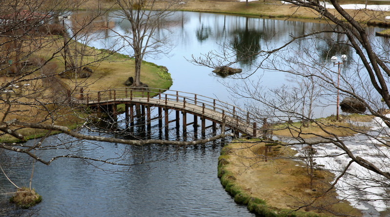 春季游北海道(一)中岛公园,小樽运河,名水公园