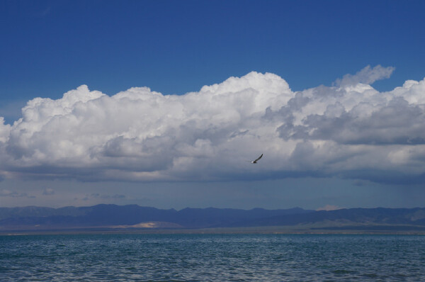 端午节去青海湖穿什么_青海湖端午节穿什么鞋