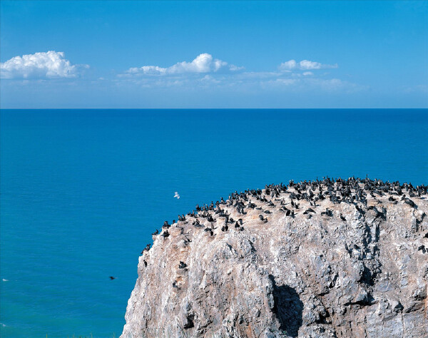 端午节去青海湖穿什么_青海湖端午节穿什么鞋