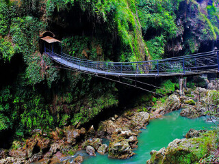 贵州欣华旅游_贵州游组团_跟团贵州旅行