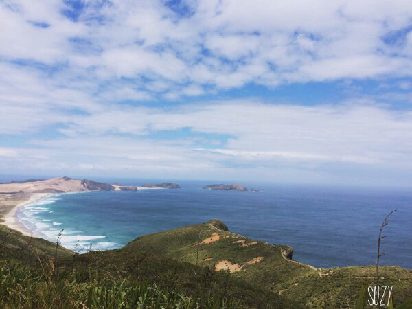 暑假去新西兰好吗_暑假新西兰天气怎么样_暑