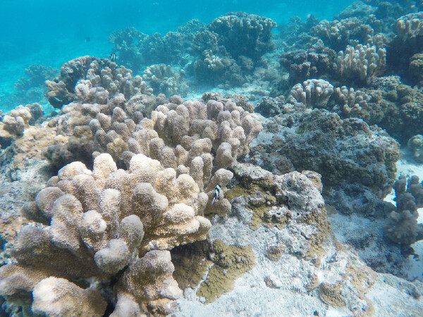 五一去巴厘岛审判世纪_巴厘岛五一自由行攻略旅游攻略龙腾视频攻略图片