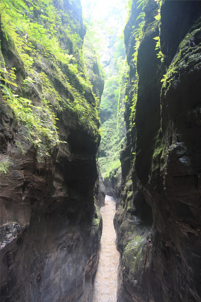 野三坡百里峡清凉舒适谷中游野水蓝天绿油油