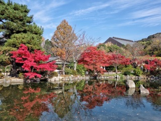 日本大阪旅游要多少錢2021_東莞到日本大阪游_組團去日本大阪