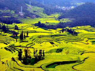 云南昆明旅游團(tuán)報(bào)價(jià)自由行_云南昆明游 旅行團(tuán)_云南昆明旅游費(fèi)用多少