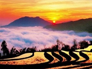 云南元陽梯田旅游跟團(tuán)需多少錢_云南元陽梯田游特價團(tuán)_云南元陽梯田報團(tuán)旅游多少錢