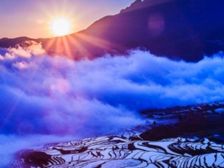 云南元陽梯田旅游跟團(tuán)需多少錢_云南元陽梯田游特價團(tuán)_云南元陽梯田報團(tuán)旅游多少錢