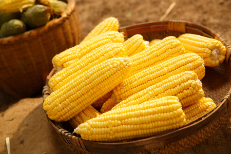food_picture