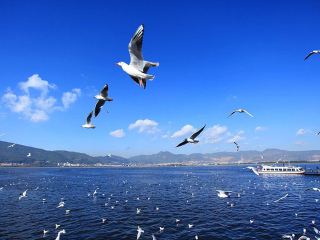云南昆明旅游一次多少錢_云南昆明游 旅行團_跟團云南昆明游價格