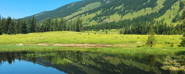 五一去喀纳斯天气_喀纳斯五一温度_喀纳斯