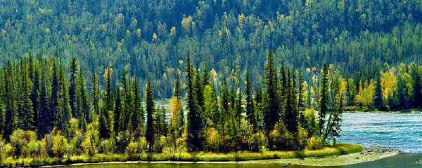 五一去喀纳斯天气_喀纳斯五一温度_喀纳斯