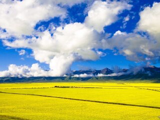 到青海旅游多少錢(qián)_青海游跟團(tuán)多少錢(qián)2021_青海旅游一次多少錢(qián)